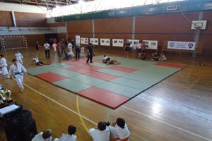 Slika odsjek prevencije/grappling OS/grap-300_200.jpg